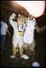 [MFF2002 04]