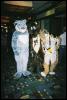 [MFF2002 05]