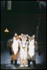 [MFF2002 18]