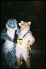 [MFF2002 19]