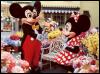 [Mickey Florida 3]