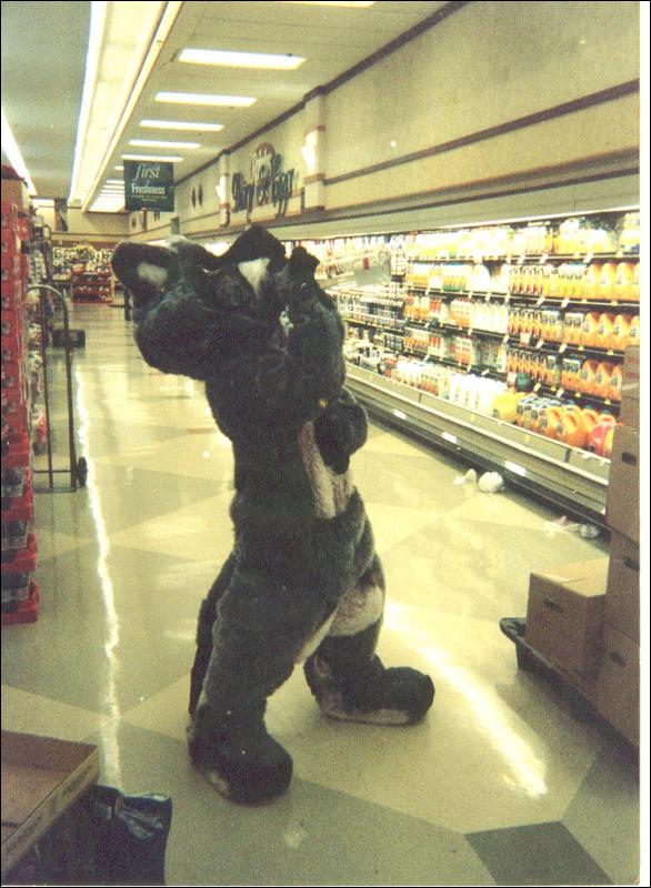 [Wolf_a_Roo_drinking.jpg]