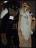 [Conifur2001 rascal 113-1345 IMG]