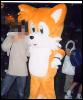 [tails1]