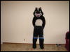 [my fursuits (8)]