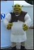 [Shrek 14]