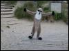 [20030619 TimduruDannesBeach 02]
