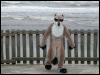 [20030619 TimduruDannesBeach 09]