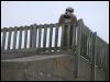 [20030619 TimduruDannesBeach 10]