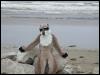 [20030619 TimduruDannesBeach 12]