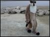 [20030619 TimduruDannesBeach 14]