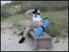 [20030619 TimduruDannesBeach 15]