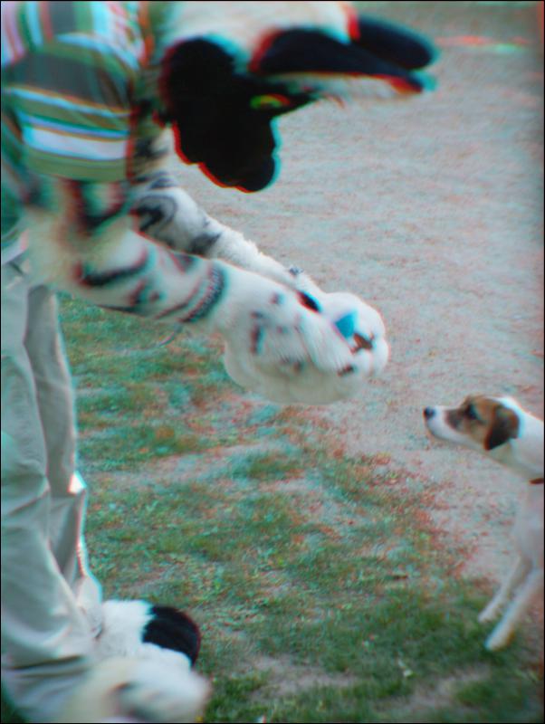 [Aoi_anaglyph_BSB_1333.jpg]