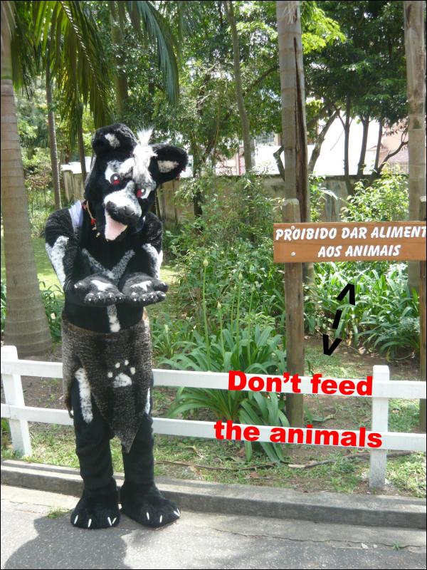 [Don'tfeedtheanimals.jpg]