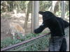 [zoo(5)]