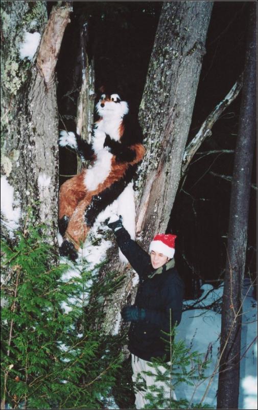 [Furbo_SF2002_furbo-ren-tree.jpg]