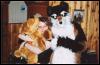 [Furbo SF2002 loopy-plushie-furbo]