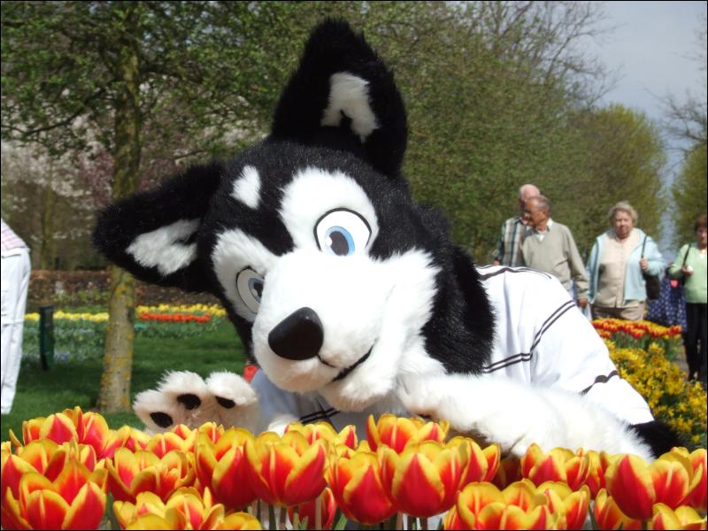 [Henrieke_20090411_Keukenhof_022.jpg]