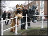 [Keenora 20080301 Delft 099]