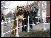 [Keenora 20080301 Delft 100]