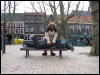 [Keenora 20080301 Delft 147]