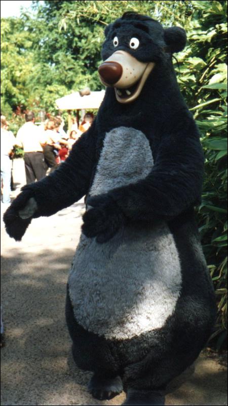 [baloo01.jpg]