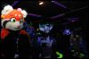 [Buster FursuitBlackLight 201301 4993]