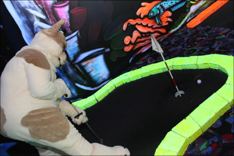 [Buster_FursuitBlackLight_201301_5000.jpg]