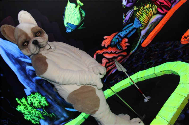 [Buster_FursuitBlackLight_201301_5001.jpg]