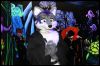 [Buster FursuitBlackLight 201301 5004]