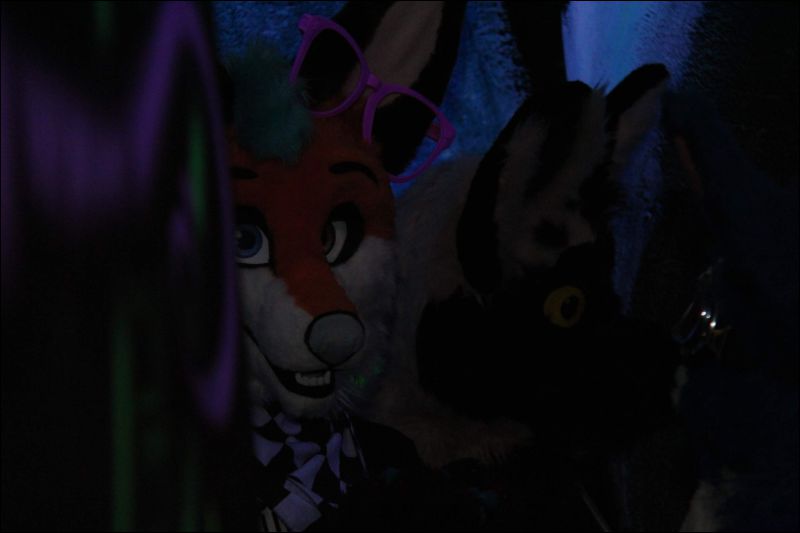 [Buster_FursuitBlackLight_201301_5005.jpg]