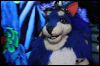 [Buster FursuitBlackLight 201301 5008]