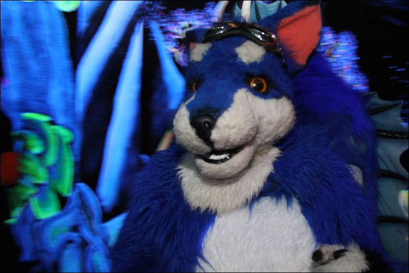 [Buster_FursuitBlackLight_201301_5008.jpg]