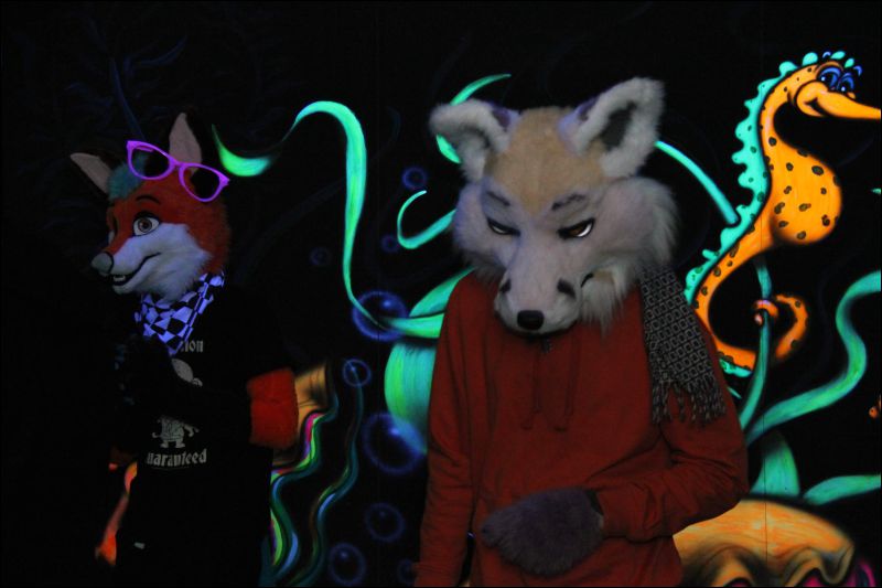 [Buster_FursuitBlackLight_201301_5013.jpg]