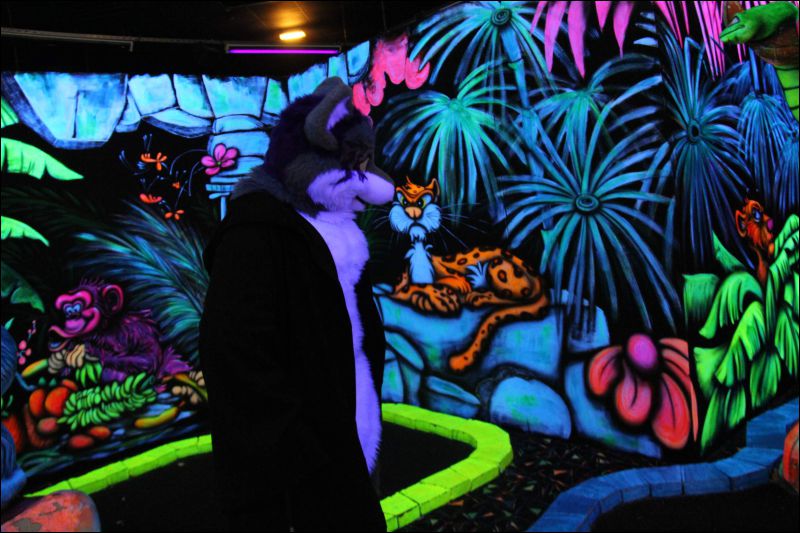 [Buster_FursuitBlackLight_201301_5022.jpg]