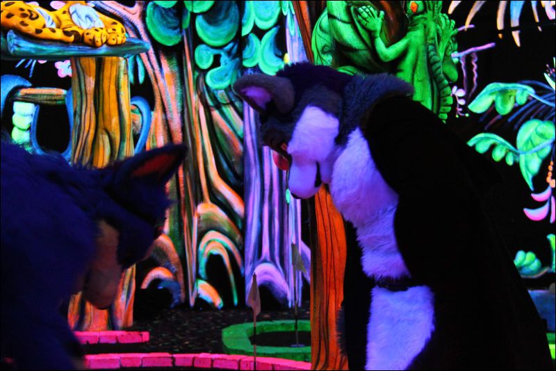 [Buster_FursuitBlackLight_201301_5035.jpg]