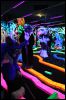 [Buster FursuitBlackLight 201301 5038]