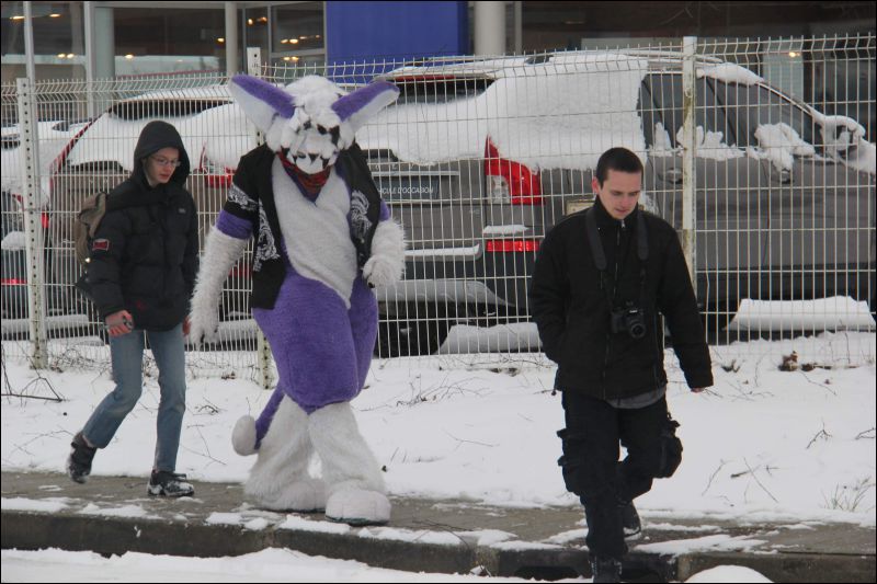 [Buster_FursuitBlackLight_201301_5079.jpg]