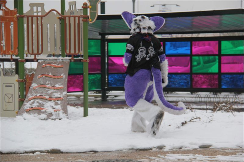 [Buster_FursuitBlackLight_201301_5090.jpg]