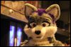 [Buster FursuitBlackLight 201301 5095]