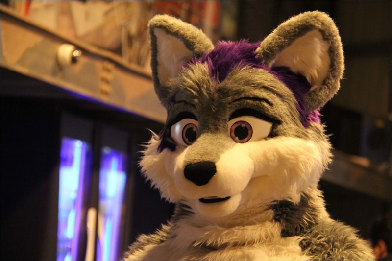 [Buster_FursuitBlackLight_201301_5096.jpg]