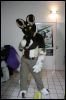 [Hai FursuitBlackLight 201301 0511]