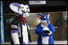 [Hai FursuitBlackLight 201301 0535]