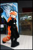 [Hai FursuitBlackLight 201301 0541]