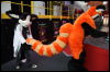 [Hai FursuitBlackLight 201301 0548]