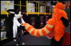 [Hai FursuitBlackLight 201301 0549]