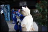 [Hai FursuitBlackLight 201301 0558]