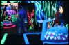 [Hai FursuitBlackLight 201301 0570]