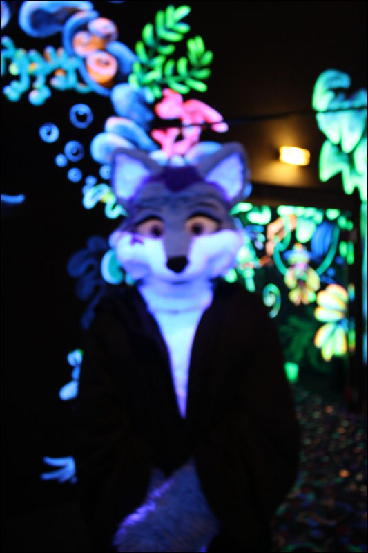 [Hai_FursuitBlackLight_201301_0577.jpg]