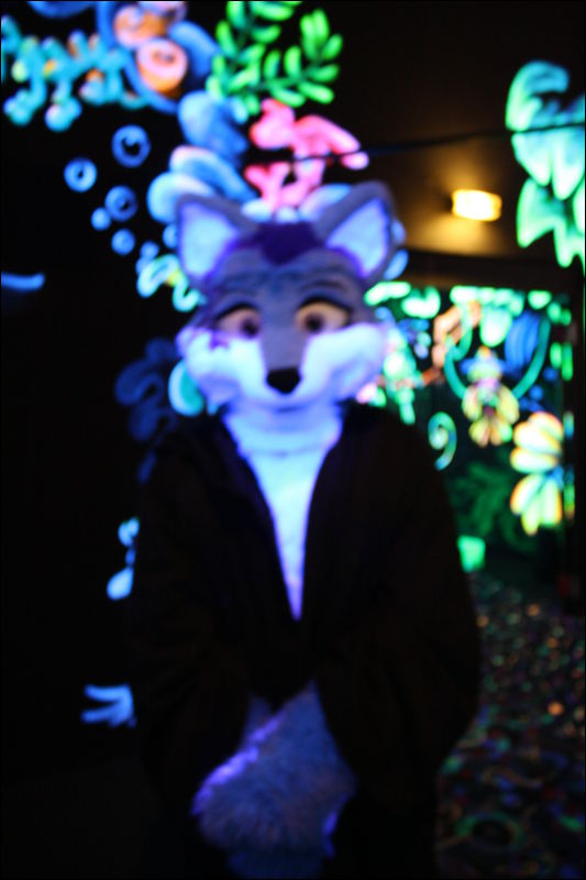 [Hai_FursuitBlackLight_201301_0579.jpg]